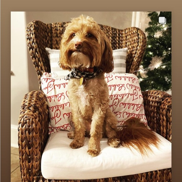 Meet your Posher, Melinda - Picture 2 of 2